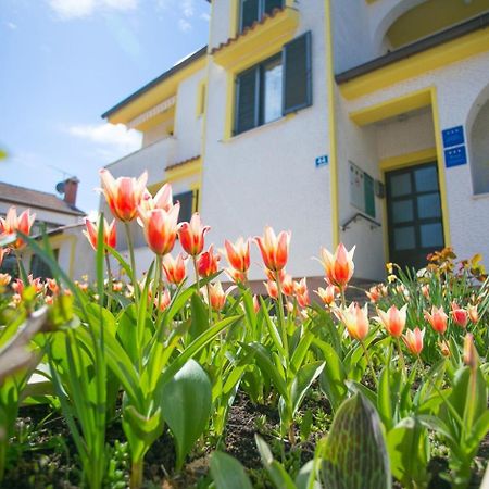 Apartment House Matosevic Πόρετς Εξωτερικό φωτογραφία