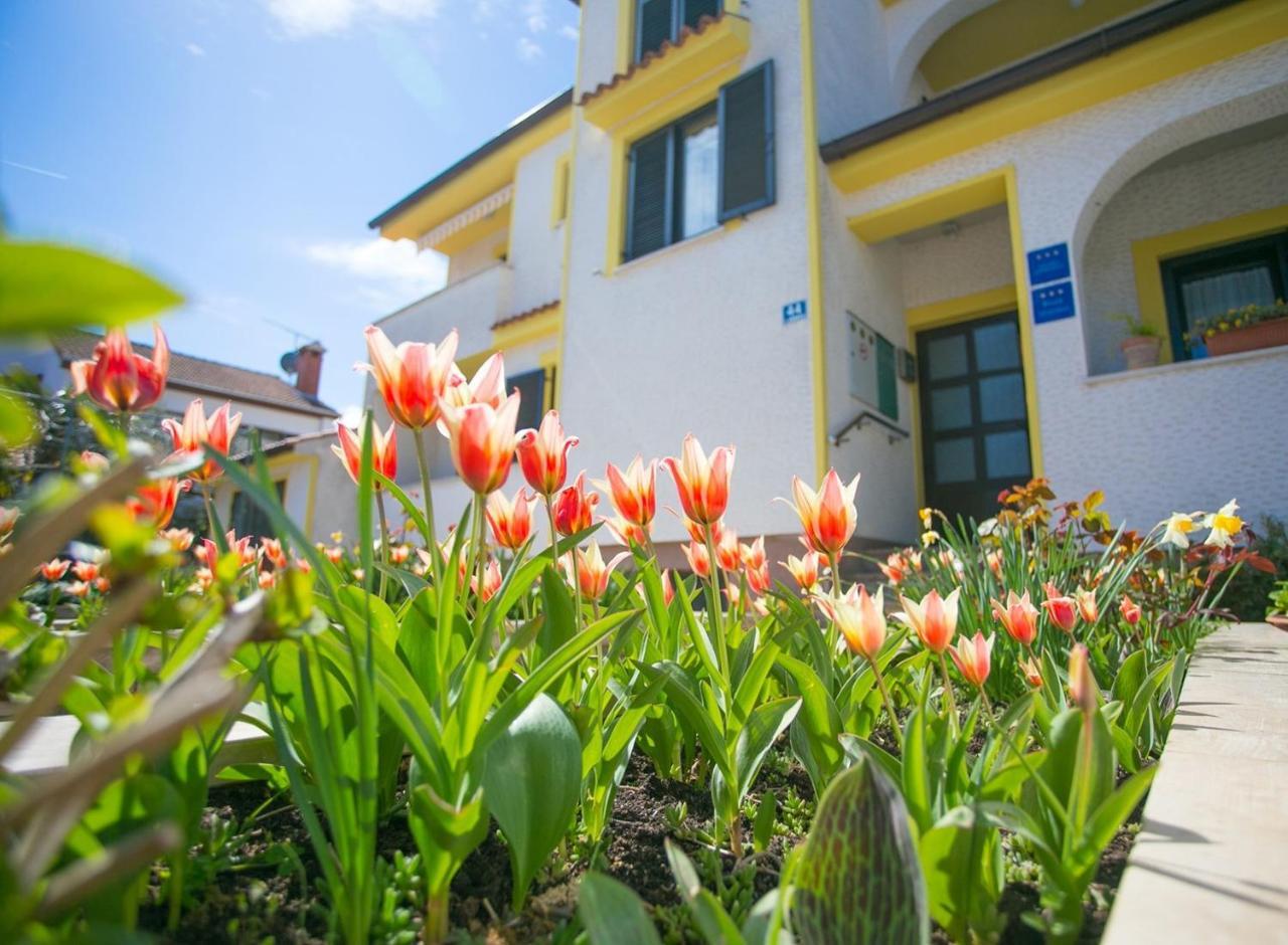 Apartment House Matosevic Πόρετς Εξωτερικό φωτογραφία